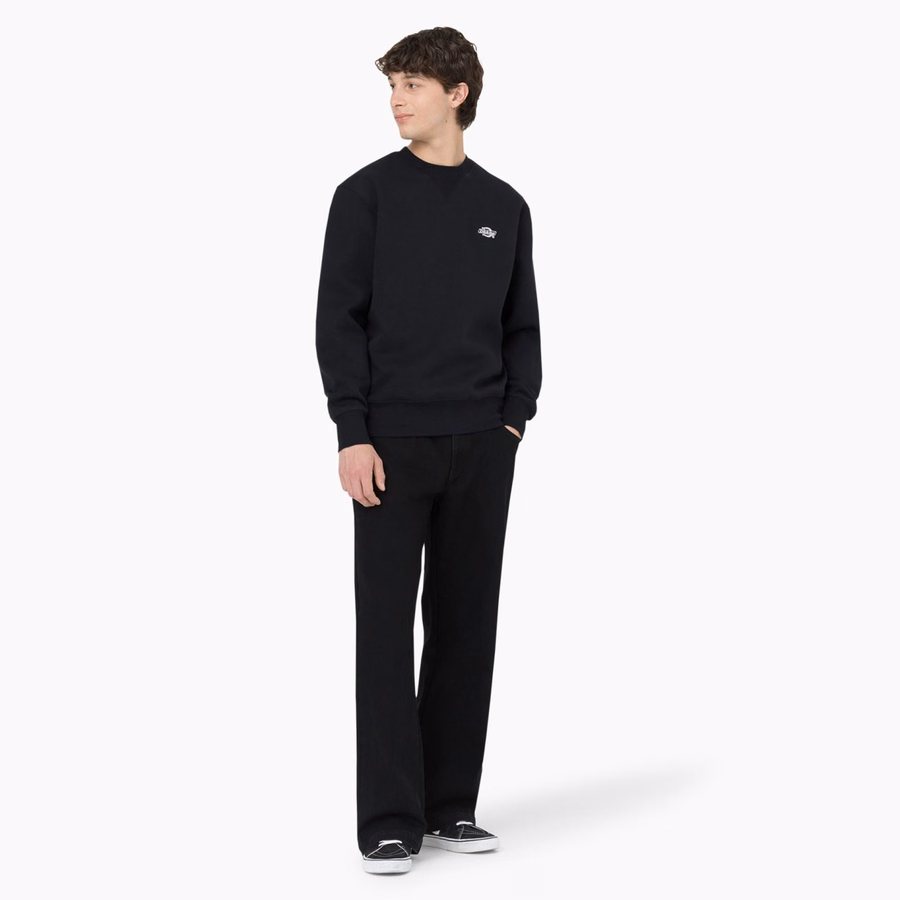 Blugi Dickies Skateboarding Wingville Leggeri