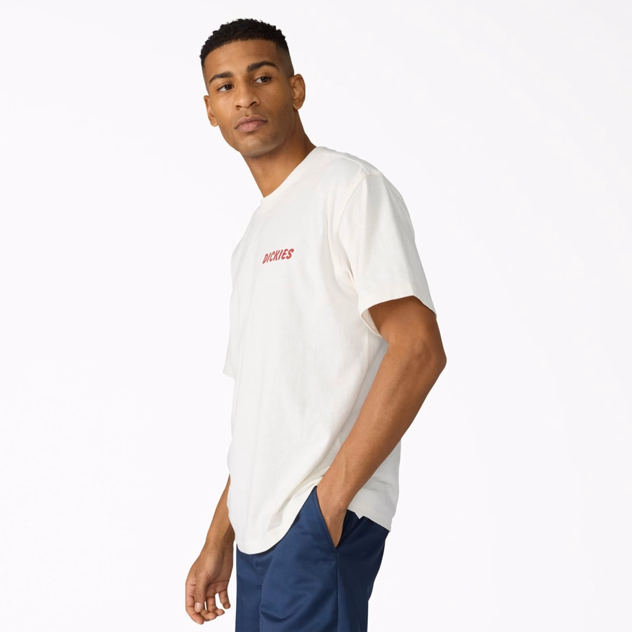 Tricou grafic Dry Ridge