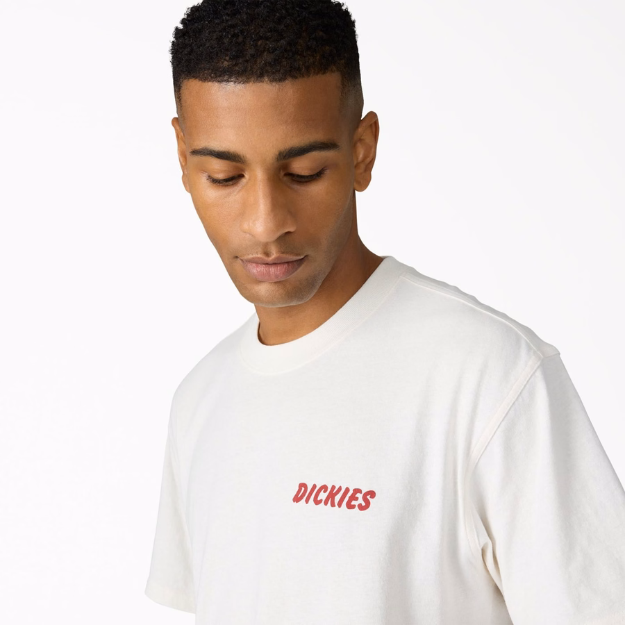 Tricou grafic Dry Ridge