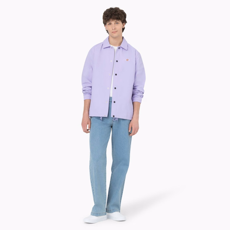 Blugi Dickies Skateboarding Wingville Leggeri